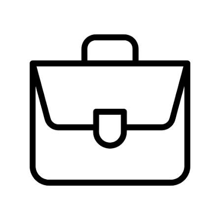 Briefcase & Laptop Bag